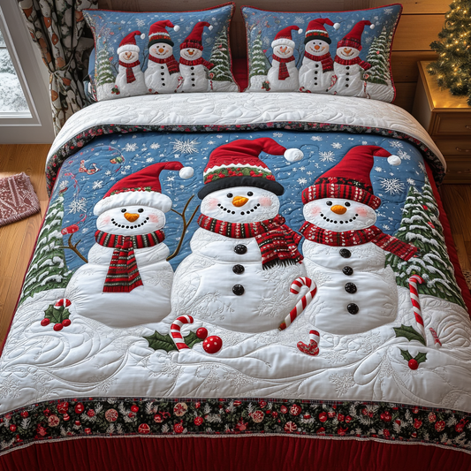 Cheerful Frost 3-Piece Quilted Bedding Set