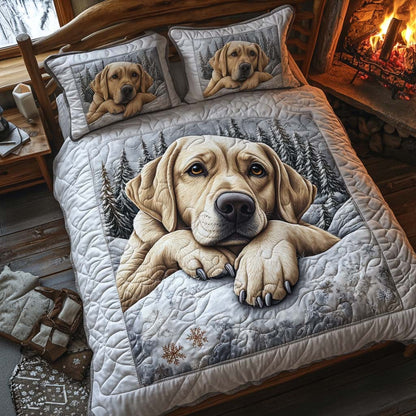 Golden Slumber 3-Piece Quilted Bedding Set