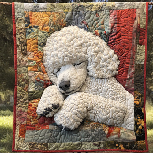 Sleeping Beauty Quilted Blanket