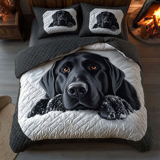 Soft Whispers 3-Piece Quilted Bedding Set
