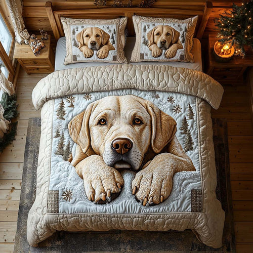 Warm Embrace 3-Piece Quilted Bedding Set